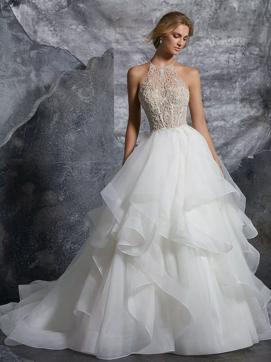 Every Bride Should Know About These Wedding Gown Designs Image