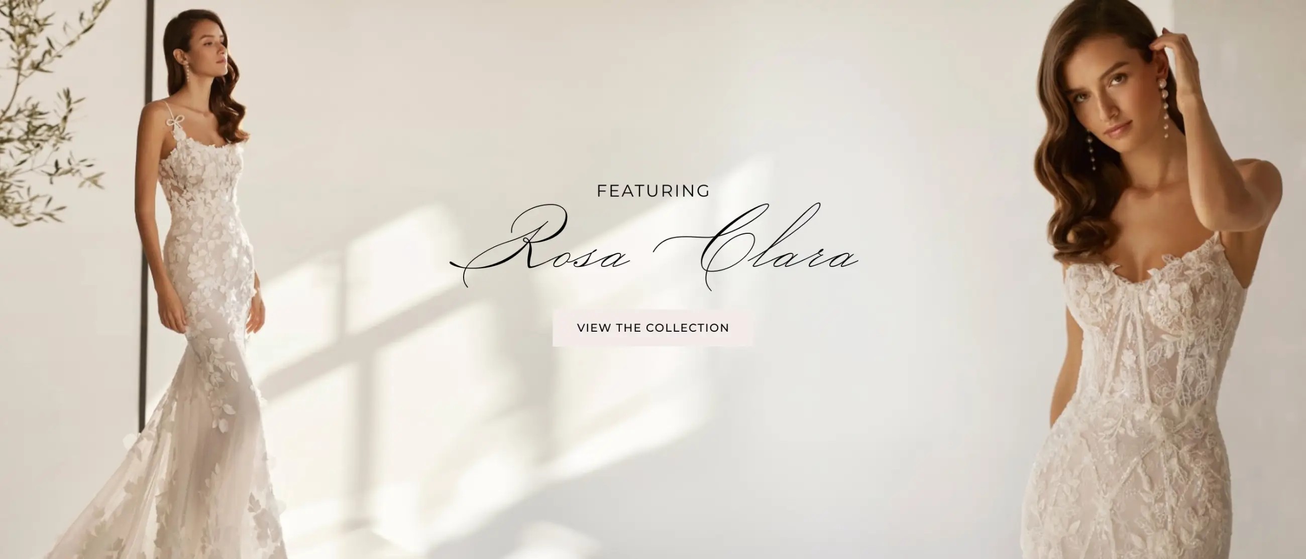 Rosa Clara Banner Desktop